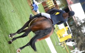 Il nuovo Circuito Talent Show Jumping parte da Arezzo. Vediamo di cosa si tratta