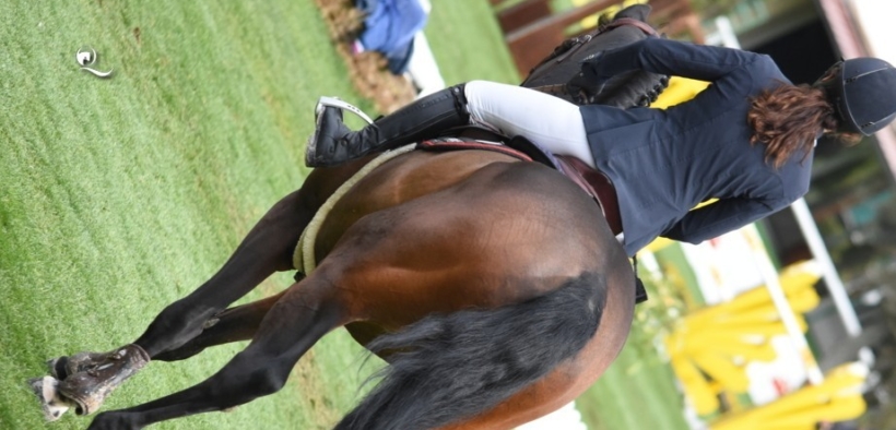 Il nuovo Circuito Talent Show Jumping parte da Arezzo. Vediamo di cosa si tratta