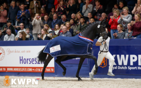 KWPN Stallion Horse Show 2019, Le Formidable è il re!