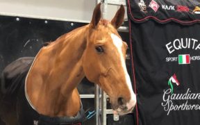 Longines Masters, Gaudiano torna sul podio ad Hong Kong. Bene anche Luca Moneta