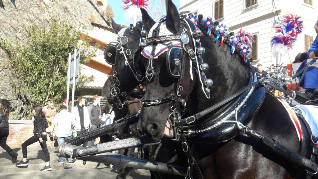 Del Carnevale di Ivrea, tra arance e cavalli, accuse ed apprezzamenti 2