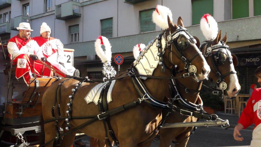 Del Carnevale di Ivrea, tra arance e cavalli, accuse ed apprezzamenti