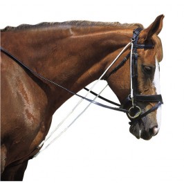 Parliamo di redini ausiliarie, visto che tanto le amate | Secondo Vedani (audio) 1