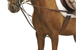 Parliamo di redini ausiliarie, visto che tanto le amate | Secondo Vedani (audio) 3