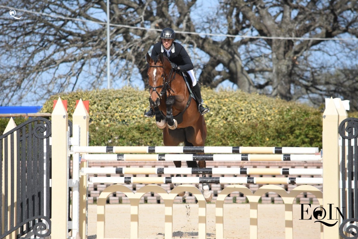 Top Jumping Horses: Hannah 1