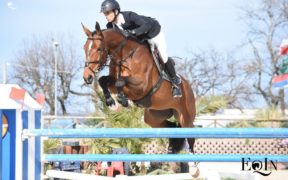 Top Jumping Horses: Hannah