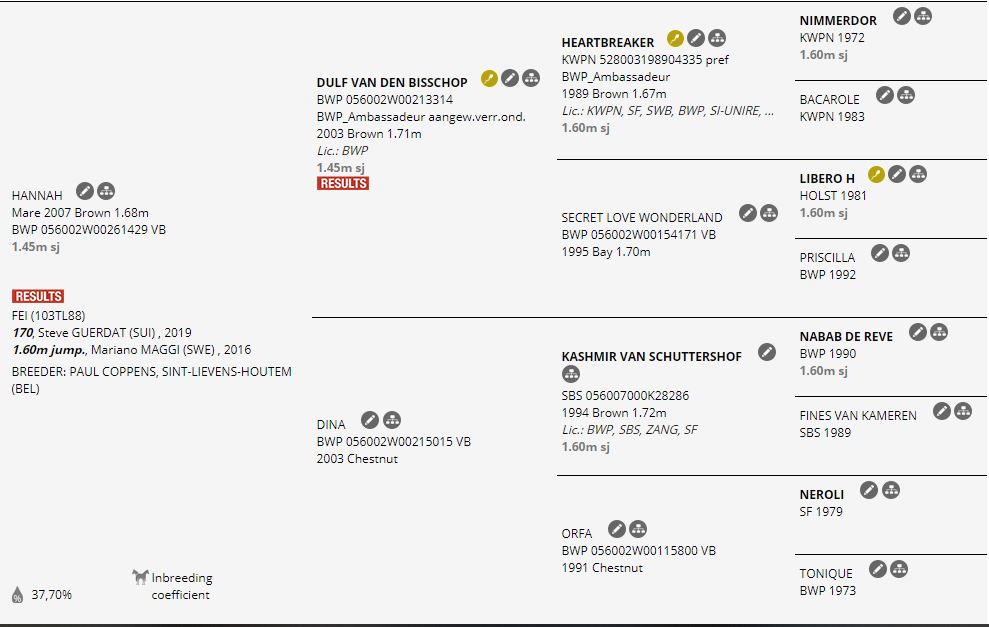 Top Jumping Horses: Hannah 3
