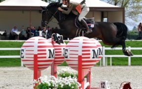 CSIO giovanile, Guido Franchi vince nel GP Young Rider