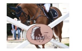 Gorla Minore, di scena lo CSIO giovanile e pony 1