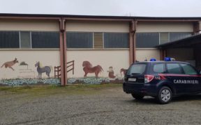 Lucchetti ai box per sfratto di un maneggio in Piemonte, sotto sequestro i cavalli