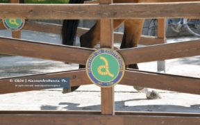 Post Test Event giovanile di Manerbio: ecco la Computer List