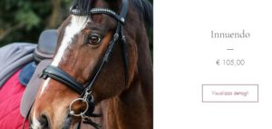 Testiere, briglie e accessori HippoFab: 1