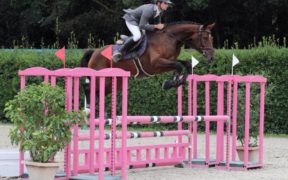 Al via il Progetto di Formazione per Addestratori Giovani Cavalli