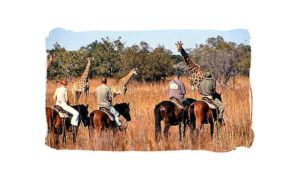 Il safari in Sudafrica quest'estate si farà a cavallo!