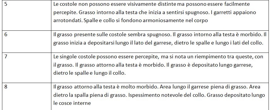 Il tuo pony/cavallo è obeso? Devi preoccuparti oppure no? 2