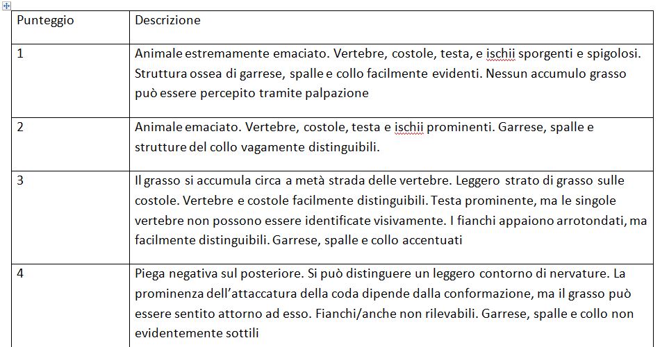 Il tuo pony/cavallo è obeso? Devi preoccuparti oppure no?