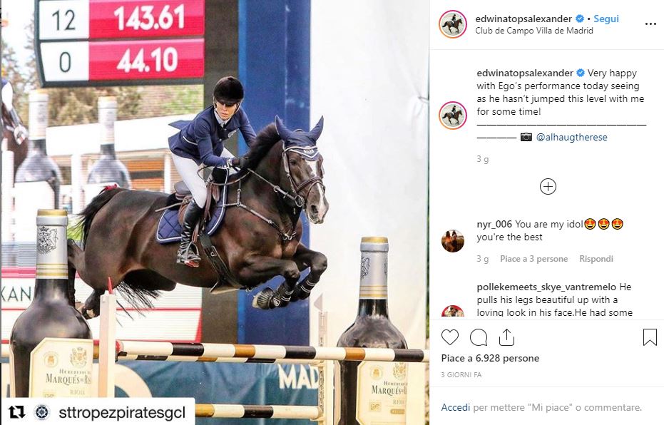 Top Jumping Horses: Ego van Orti