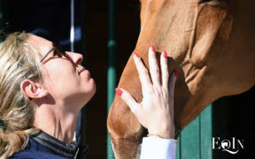 Una splendida vittoria per Silvia Bazzani nella 150 LR dell'Equitour Denmark!