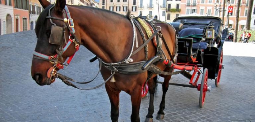 Botticelle Roma, niente di nuovo sotto il sole: sarà un'estate difficile come le altre