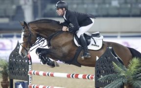 Ci lascia lo stallone Plot Blue