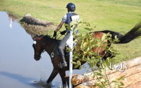 Il Saggio delle Scuole Federali sarà multidisciplinare