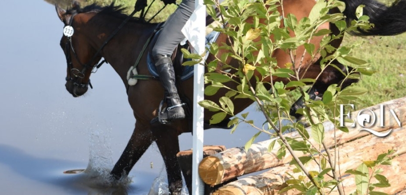 Il Saggio delle Scuole Federali sarà multidisciplinare