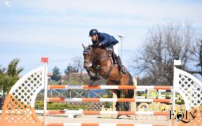 Roberto Turchetto e Baron, gran bella gara al Knokke Hippique