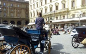Vietata l'attività ai cavalli delle Botticelle con temperature a +30°. A Firenze invece non cambia nulla