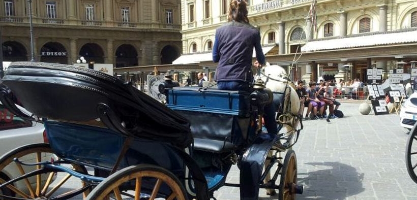 Vietata l'attività ai cavalli delle Botticelle con temperature a +30°. A Firenze invece non cambia nulla