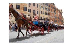 Divieto carrozze in città, approvato Emendamento di riforma del Codice della Strada