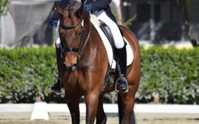 Dressage: 15 giorni al via per i Campionati Europei Giovanili 1