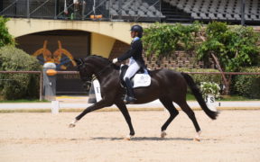 Dressage: archiviati gli Europei giovanili all’Horses Riviera Resort