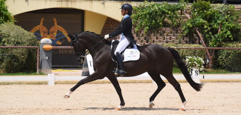 Dressage: archiviati gli Europei giovanili all’Horses Riviera Resort