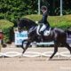 Europei giovanili di dressage, doppio oro tedesco team YR e Junior