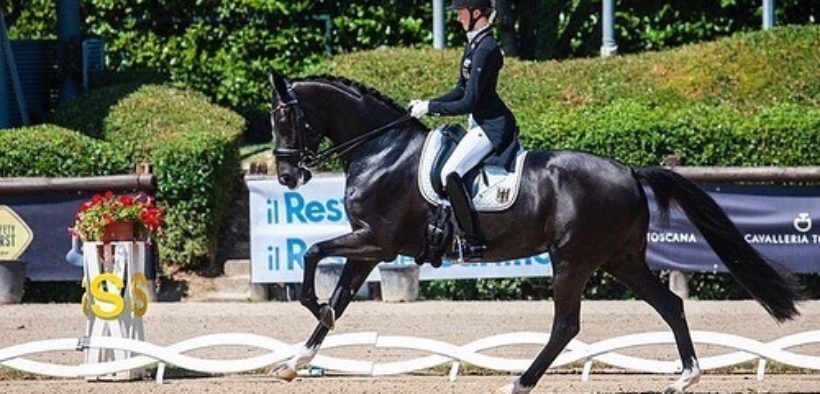 Europei giovanili di dressage, doppio oro tedesco team YR e Junior