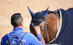 FISE informa: dal 2020 solo cavalli NON-DPA