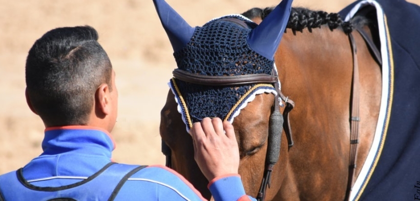 FISE informa: dal 2020 solo cavalli NON-DPA