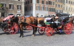 Le Botticelle tornano a circolare, il Tar ha sospeso l'Ordinanza del Sindaco