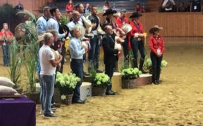 Medaglia d'argento per gli azzurri del Reining agli Europei di Givrins