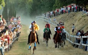 Palio di Casole, IHP presenta esposto a Prefettura di Siena e Ministero della Salute
