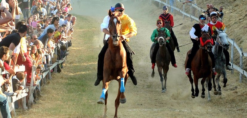 Palio di Casole, IHP presenta esposto a Prefettura di Siena e Ministero della Salute