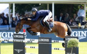Top Jumping Horses: H&M All Inn 1