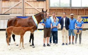 Z-Festival France (Deauville): ecco i puledri vincitori