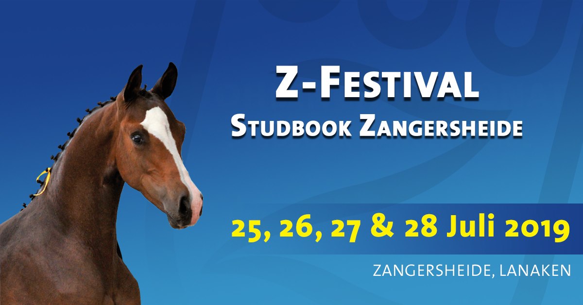 Z-Festival Lanaken, 1