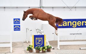 Z-Festival Lanaken, 2