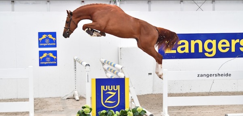 Z-Festival Lanaken, 2