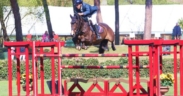 CSIO Gijon, Roberto Turchetto è 2° nel Trofeo Oquendo (1,50 mt)