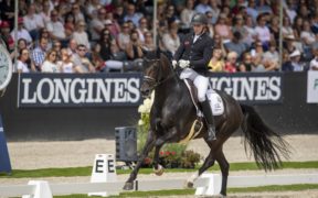 Dressage: Campionato Mondiale di Allevamento di Ermelo, i finalisti