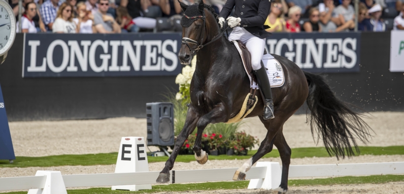 Dressage: Campionato Mondiale di Allevamento di Ermelo, i finalisti