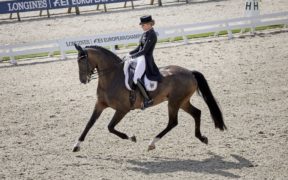 Dressage Rotterdam, i tedeschi già al comando dopo il 1° giorno